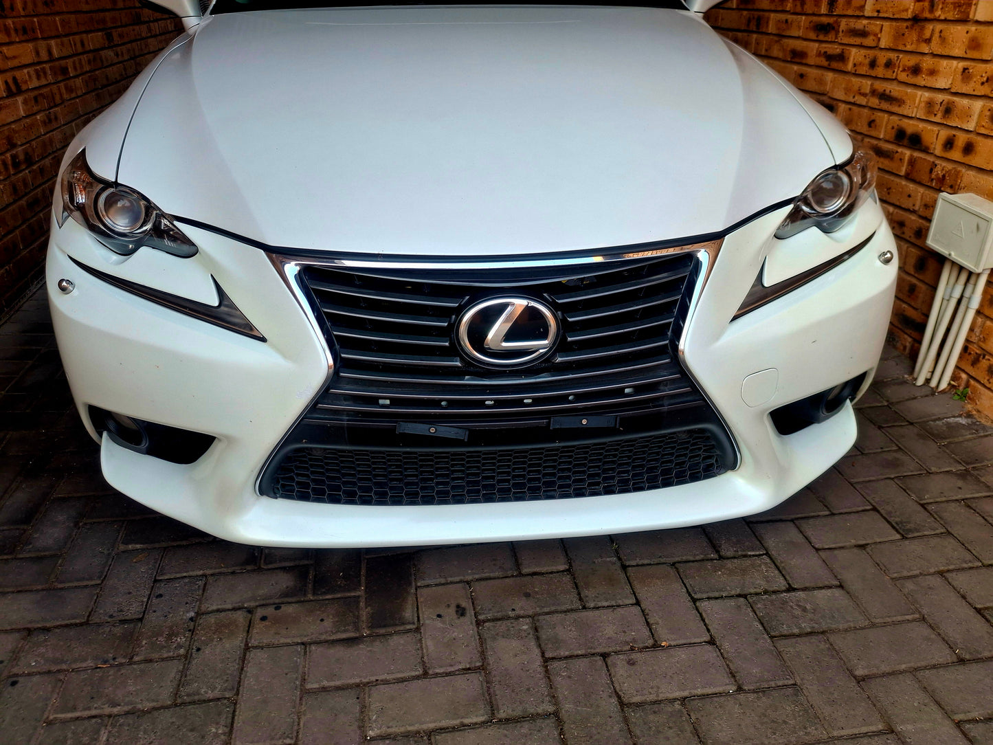Removable License Plate Bracket